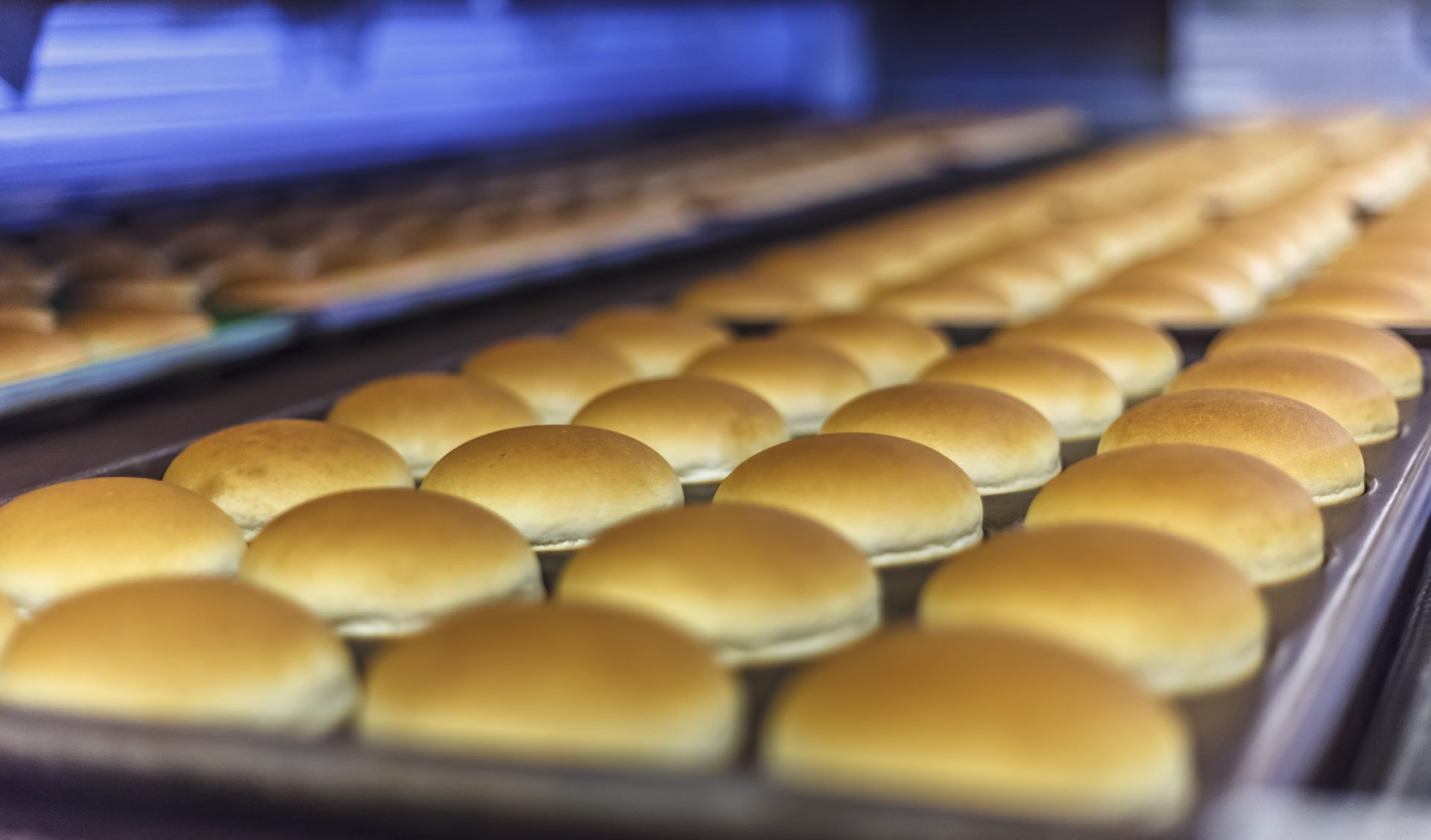 Hamburger buns in a bakery. GFSI certification and GFSI consulting is common for bakeries.