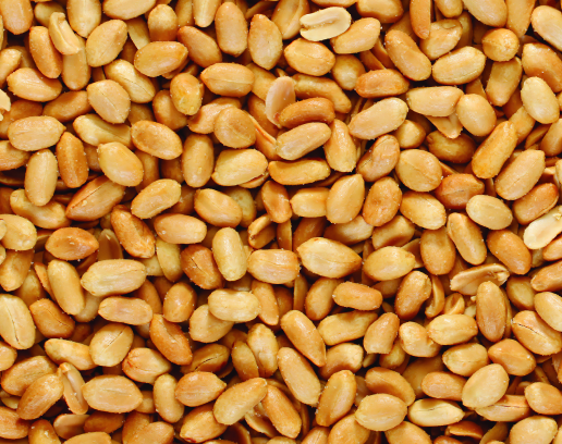 close up of hundreds of peanuts