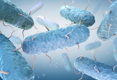 Food borne illness pathogens under a microscope in blue.