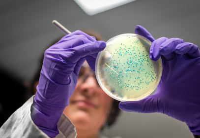 A person in a laboratory examining a petri dish for pathogens. Looking for food safety issues.