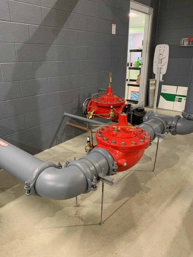 Backflow preventer in a food manufacturing facility.