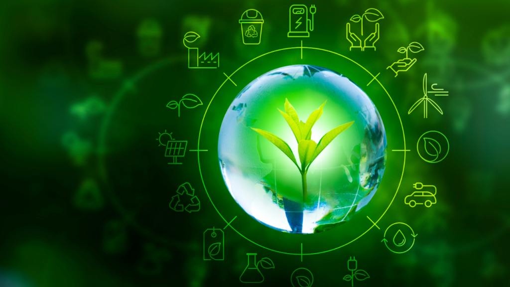 ISO 14001 Environmental Management Systems