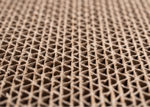 Corrugated Box Manufacturer obtains GMP certification with help from Kellerman Consulting