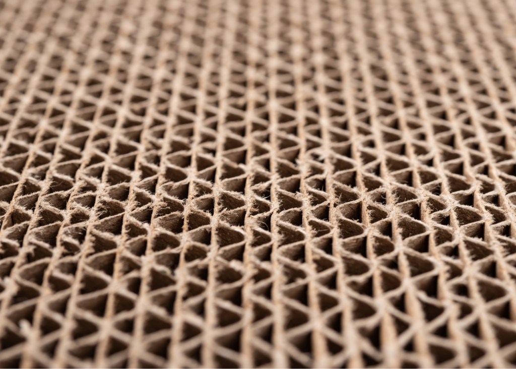 Corrugated box manufacturer passes GMP audit on the first try with Kellerman Consulting's support