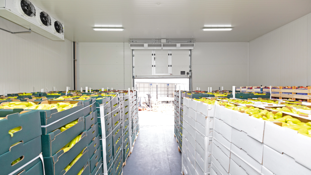 Cold storage warehouses passes GDP audit with no findings.